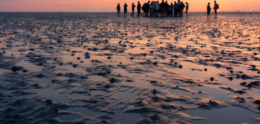 Nur eine kurze Autofahrt entfernt finden Sie das beeindruckende Wattenmeer, das weltweit einzigartig ist.