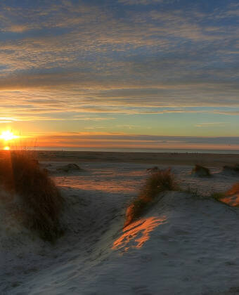 Europas bredeste strand finder I på Rømø, og det er et paradis.