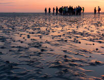 Just a short drive away is the Wadden Sea, a very special natural experience.