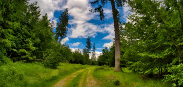 Erholen Sie sich im Wanderparadies Thüringer Wald!