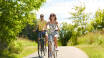 You can explore the area on rental bikes from the hotel (1 day free of charge).