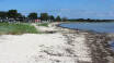 Get sand between your toes at Bjert Strand, located in beautiful surroundings. The beach is also child-friendly with a shallow shore and sandy/stone bottom.