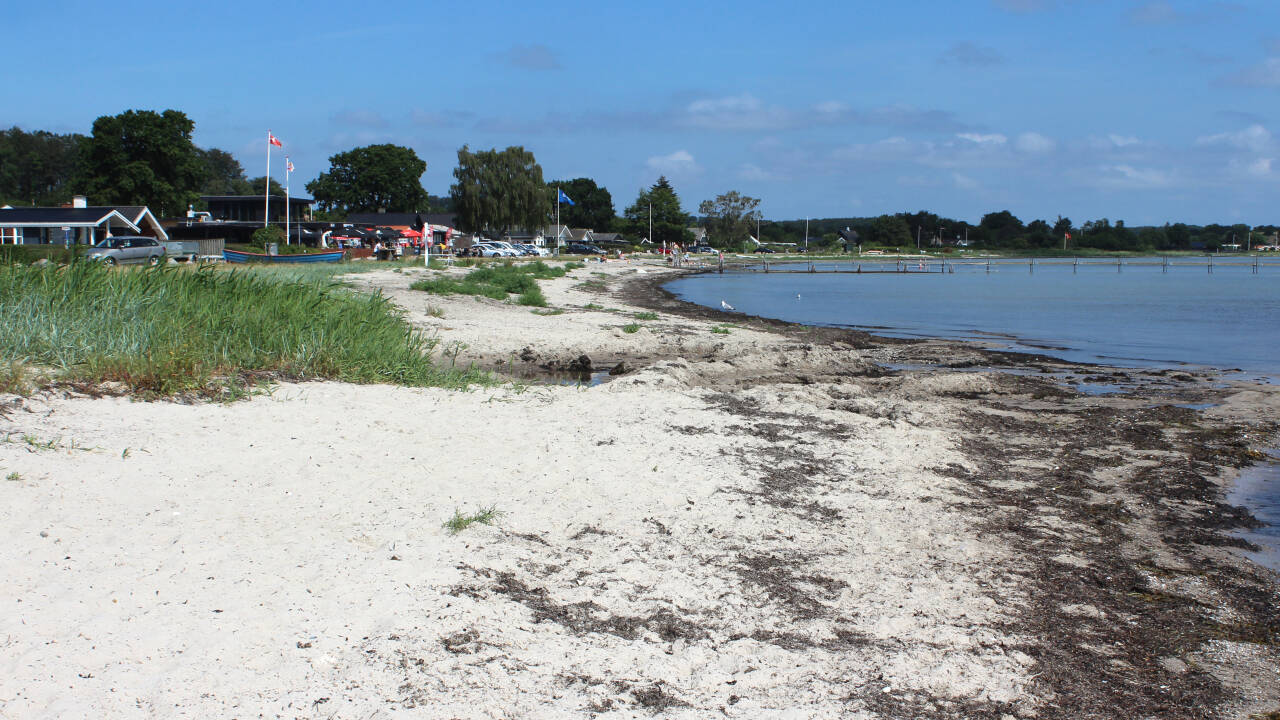 Få sand mellom tærne på Bjert Strand, som ligger i skjønne omgivelser. Stranden er dessuten barnevennlig med grunt vann og sandbunn/steinbunn.