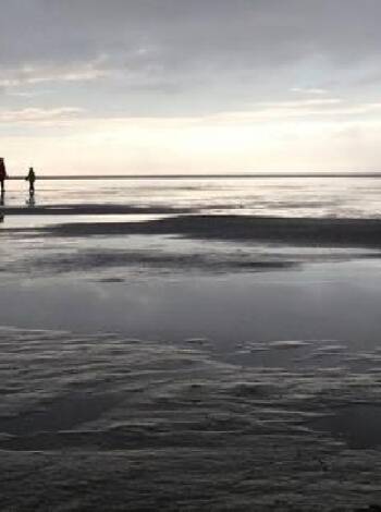 Nur wenige Kilometer von Rudbøl entfernt, können Sie das Wattenmeer mit seiner endlosen Gezeitenlandschaft und der reichen Tierwelt erleben.