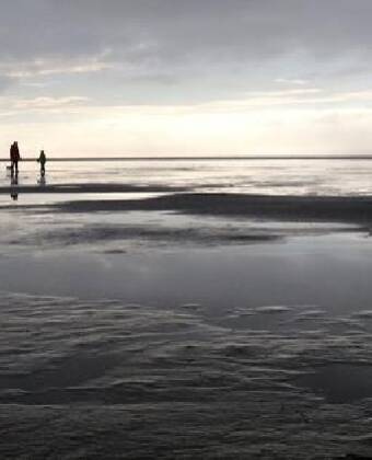 Kun få kilometer fra Rudbøl kan I opleve Vadehavet med det endeløse tidevandslandskab og rige dyreliv.