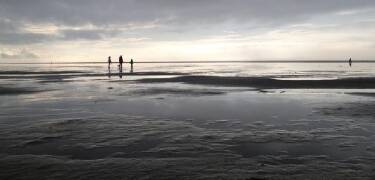 Only a few kilometres from Rudbøl you can experience the Wadden Sea with its endless tidal landscape and rich wildlife.