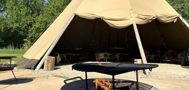 Tipierne giver gæsterne en sjov og hyggelig måde at slappe af på og passer perfekt til hotellets afslappede stemning.