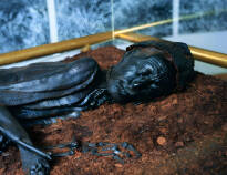 Visit Silkeborg Museum where you can learn more about the fate of the Tollund Man.