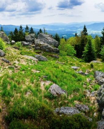 In der Umgebung gibt es viel Natur, die es zu erkunden lohnt.