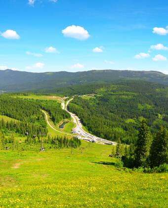 Der Nationalpark Bayerischer Wald hat in Sachen Wanderwege, Natur und mehr viel zu bieten.