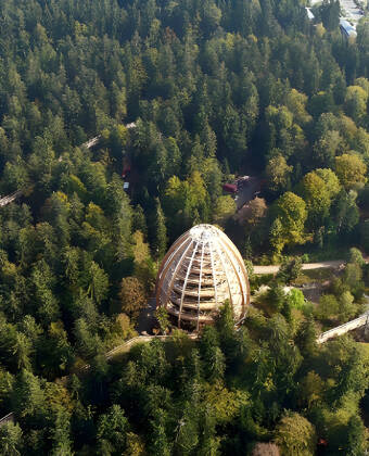 Der Nationalpark Bayerischer Wald hat in Sachen Wanderwege, Natur und mehr viel zu bieten.