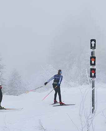 Om vinteren er der mulighed for at stå på ski i nærliggende områder.