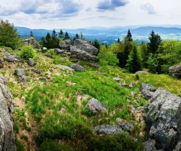 I området er det massevis av natur som det er verdt å utforske.