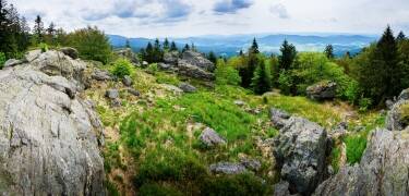 In der Umgebung gibt es viel Natur, die es zu erkunden lohnt.