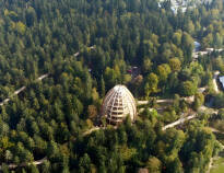 Der Nationalpark Bayerischer Wald hat in Sachen Wanderwege, Natur und mehr viel zu bieten.