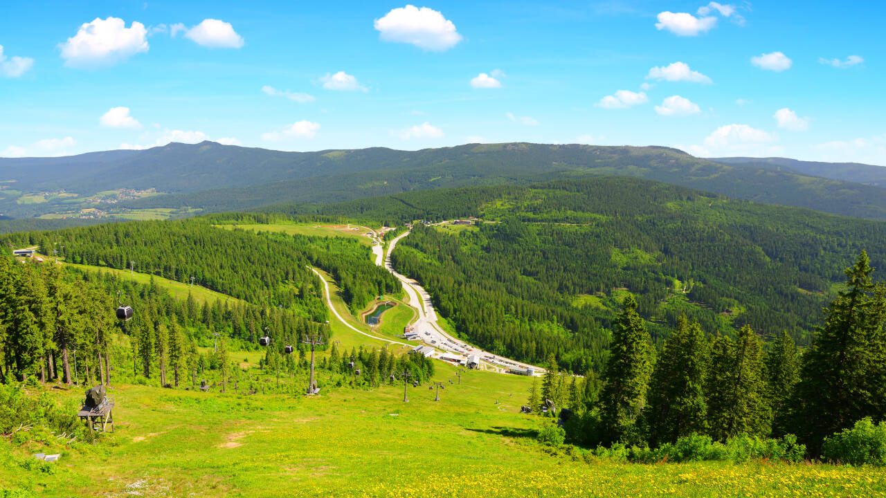 Der Nationalpark Bayerischer Wald hat in Sachen Wanderwege, Natur und mehr viel zu bieten.