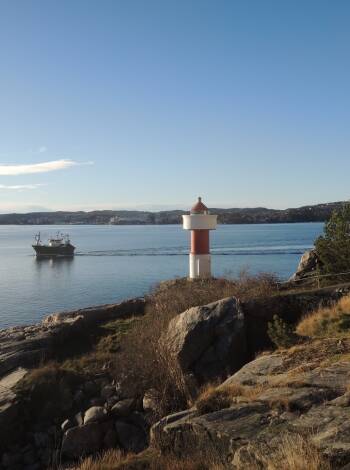Utforska natursköna vandringsleder och havsutsikt på närliggande Odderøya.