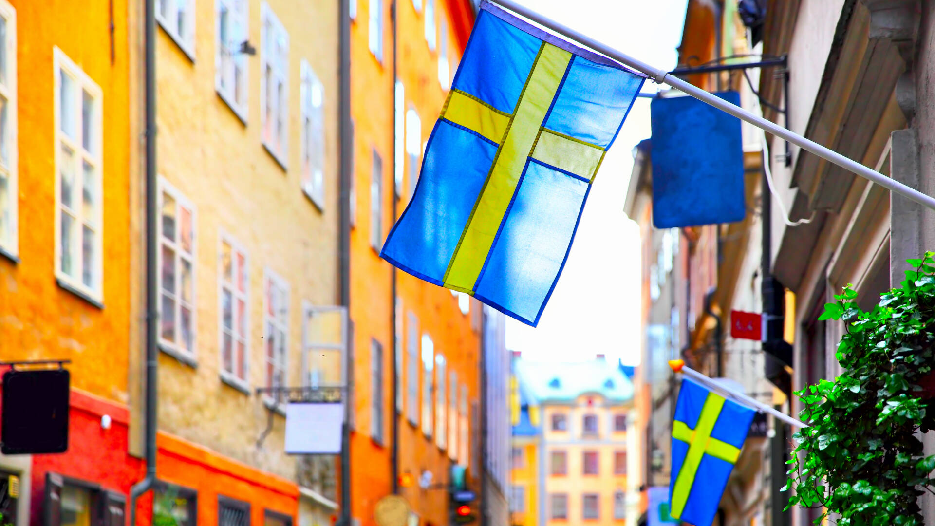 Ta en kjøretur til Sverige og opplev den vakre naturen underveis. Du er omtrent en times kjøring fra svensk idyll og shopping.
