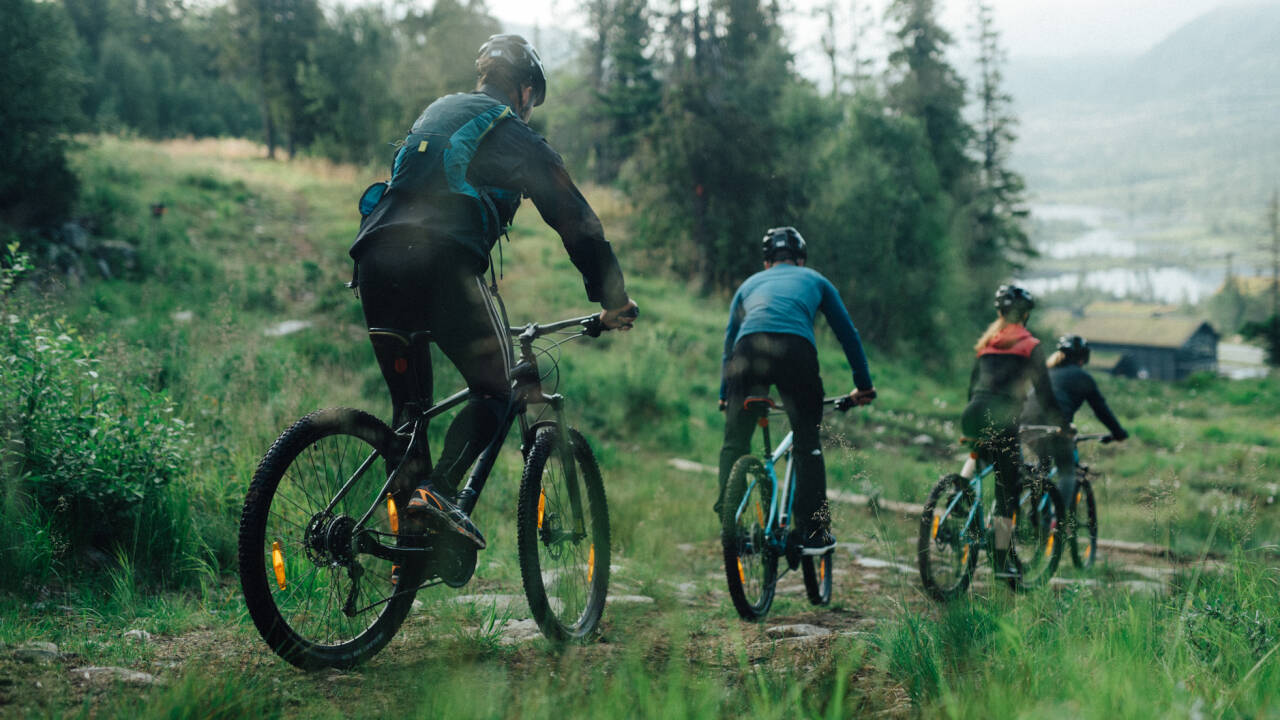 Gausta er et sandt paradis for aktiv ferie, med alt lige fra vandreture i fjeldene og landevejscyklering til terrĂŠnlĂžb og klatreetaper.