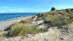 Enjoy a walk on the beach. Get wind in your hair and sun on your nose while enjoying the nature of North Jutland.