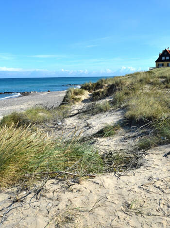 Genießen Sie eine Wanderung am Strand. Lassen Sie Wind durch die Haare pusten und die Sonne auf die Nase scheinen.