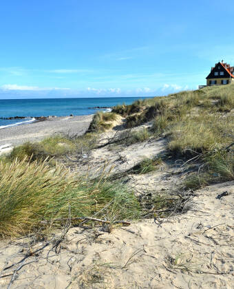 Enjoy a walk on the beach. Get wind in your hair and sun on your nose while enjoying the nature of North Jutland.
