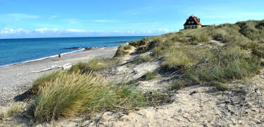 Nyd en gåtur på stranden. Få vind i håret og sol på næsen, imens I nyder den nordjyske natur.