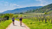 Go hiking and cycling in the stunning natural surroundings of the German Wine Route.