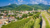 You have a great opportunity to visit Alsace in France, just half an hour's drive from the hotel.