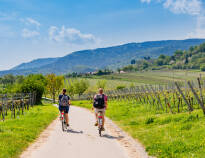 Go hiking and cycling in the stunning natural surroundings of the German Wine Route.