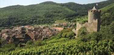 The hotel is only about 15 minutes from the popular Alsace Wine Route, which takes you through beautiful countryside.