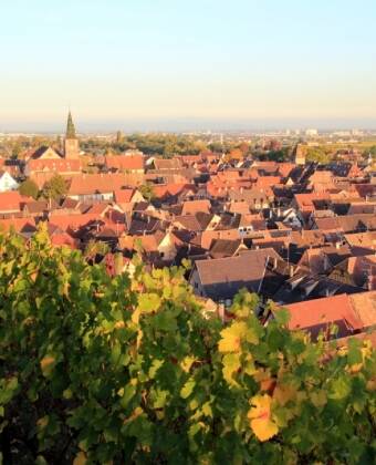 Turckheim er en lille vinby som ligger på vinruten. Gå en tur omkring byen og nyd den dejlige udsigt.