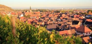 Turckheim er en liten vinlandsby på vinruten. Ta en tur rundt i byen og nyt den flotte utsikten.