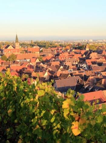 Turckheim är en trevlig vinstad belägen på vinruten i Alsace där ni kan njuta av den fina utsikten.