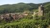 The hotel is only about 15 minutes from the popular Alsace Wine Route, which takes you through beautiful countryside.
