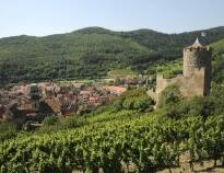 Hotellet ligger nära den populära vinrutten i Alsace, som tar er genom charmiga vinbyar och härlig natur.