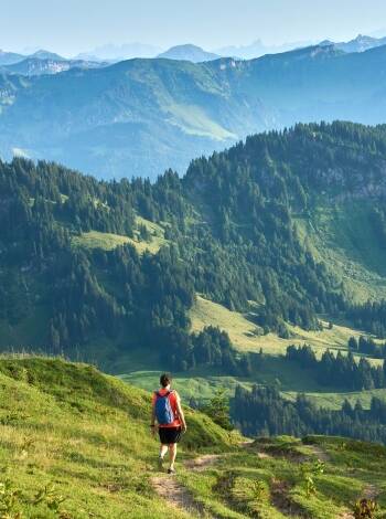 Excellent surroundings for hiking, cycling, swimming and easy city trips.