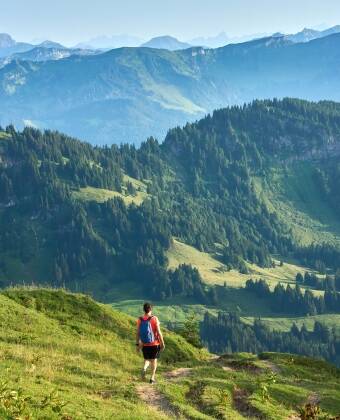 Excellent surroundings for hiking, cycling, swimming and easy city trips.