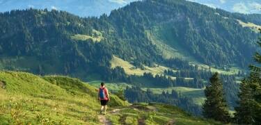 Ideale Umgebung für Wanderungen, Radtouren, Schwimmen und entspannte Städtetrips.