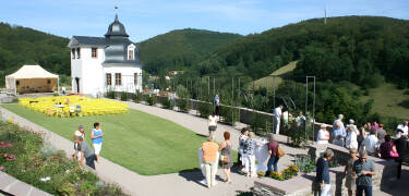 Stolberg Castle is located on a hilltop on the outskirts of the city. Take a walk in the castle park and enjoy the beautiful scenery.