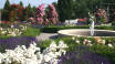 Besøk Europa-Rosarium i Sangerhausen. Den imponerende parken byr på verdens største samling av roser.