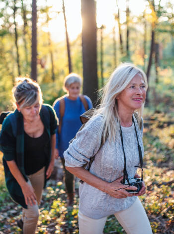 Forest trails, lakes and the renowned Liebesbankweg begin almost at the doorstep, making it easy to head out for a walk at your own pace.