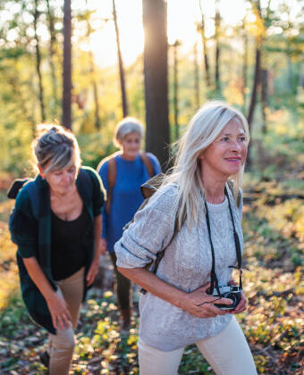 Skovstier, søer og den berømte Liebesbankweg begynder næsten lige uden for døren, så det er nemt at tage på en gåtur i dit eget tempo.