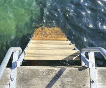 Hotellet har en egen strand og badebro, så dere kan ta en svømmetur eller gå en tur på stranden.