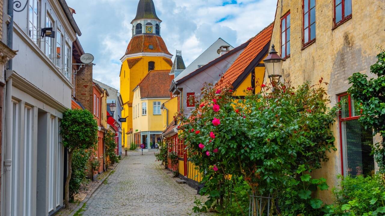 Tag på en spændende dagstur til Odense eller oplev de flotte slotte og herregårde på Fyn.