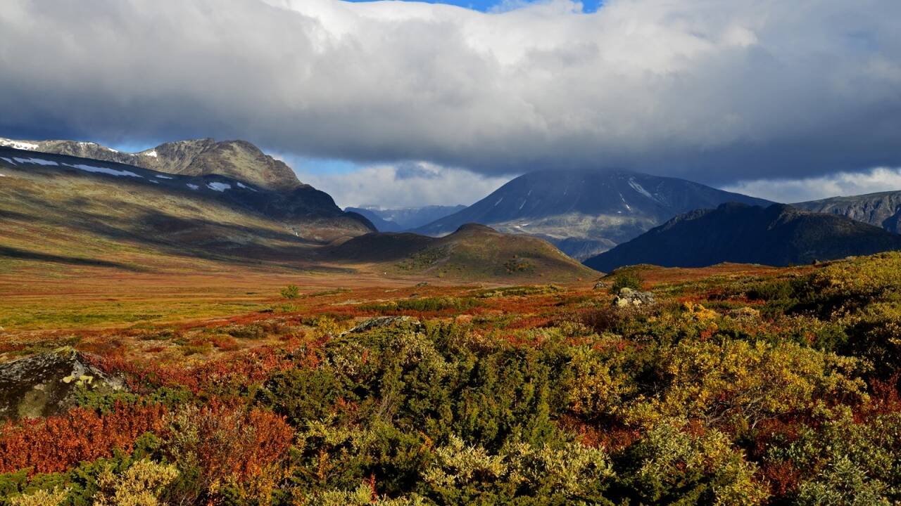 Beitostølen, som ligger ved inngangen til Jotunheimen i Oppland, er en av landets mest populære byer for besøkende. Denne livlige turistdestinasjonen tilbyr et bredt utvalg av aktiviteter gjennom hele året.