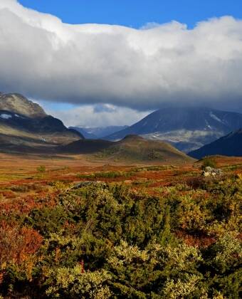 Beitostølen, located at the entrance to Jotunheimen in Oppland, Norway, is one of the country’s most popular cities for visitors. This vibrant tourist destination offers a diverse array of activities throughout the year.
