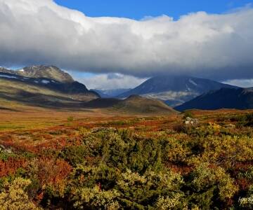Beitostølen, am Eingang zu Jotunheimen in Oppland, Norwegen, gelegen, ist eine der beliebtesten Städte des Landes für Besucher. Dieses lebendige Reiseziel bietet das ganze Jahr über ein breites Spektrum an Aktivitäten.