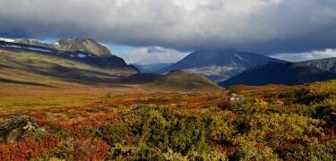 Beitostølen, der ligger ved indgangen til Jotunheimen i Oppland, Norge, er en af landets mest populære byer for besøgende. Denne livlige turistdestination byder på en bred vifte af aktiviteter hele året rundt.