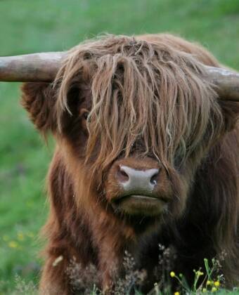 Kør en kort tur til Kiel eller gå på opdagelse i det smukke naturområde Tiergehege Tannenberg, perfekt til vandreture.